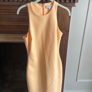 Elizabeth and James Peach Bodycon Mini Dress